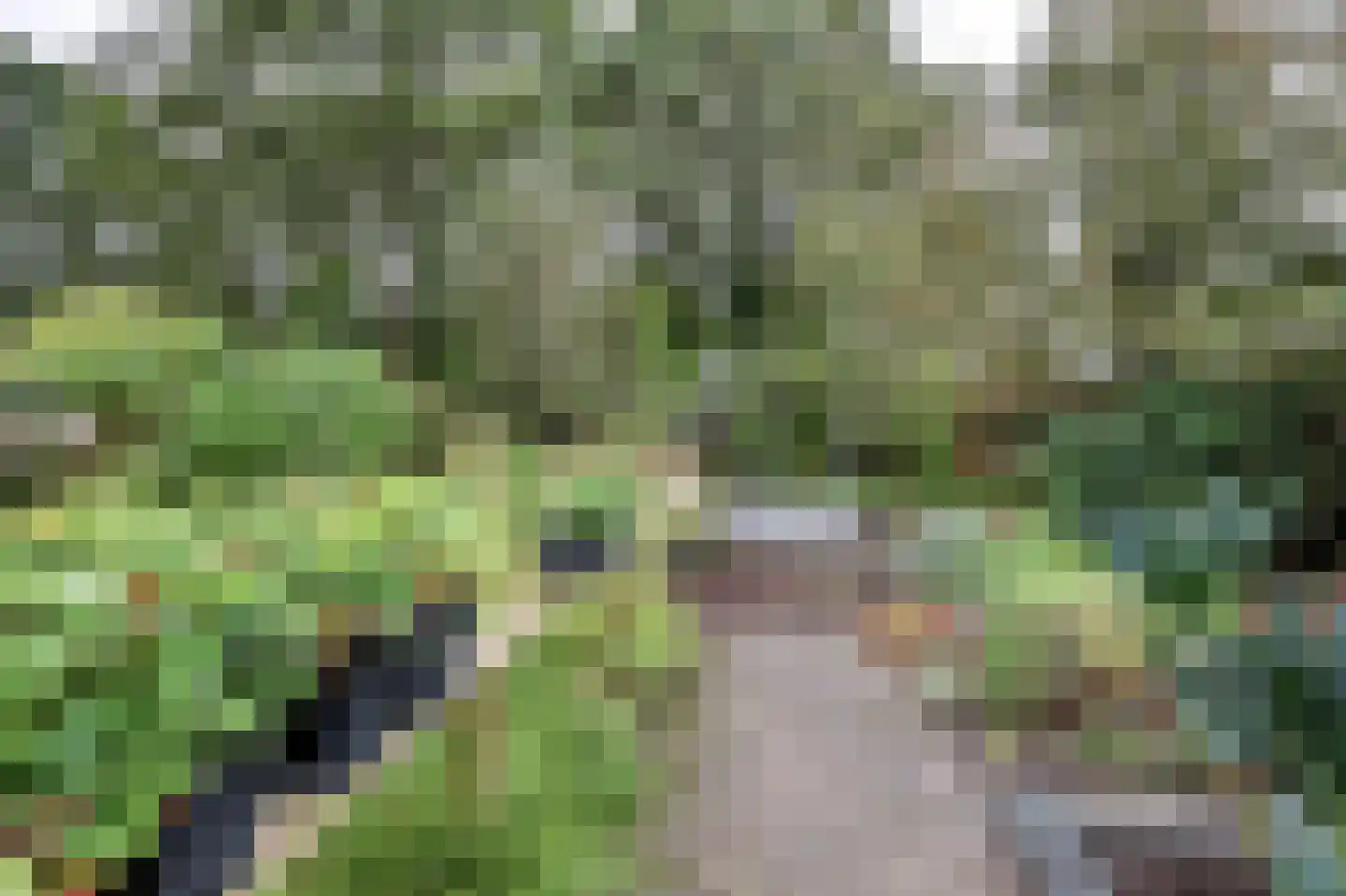 Perkenslag 13 Westerbork thumbnail 23