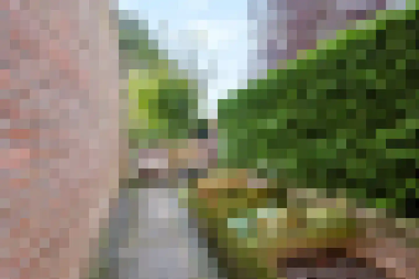 Perkenslag 13 Westerbork thumbnail 25