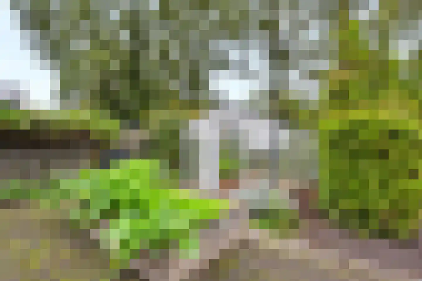 Perkenslag 13 Westerbork thumbnail 26