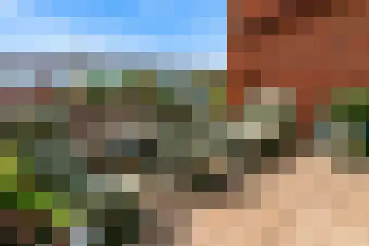 Perkinsbaan 1 17 Nieuwegein thumbnail 29
