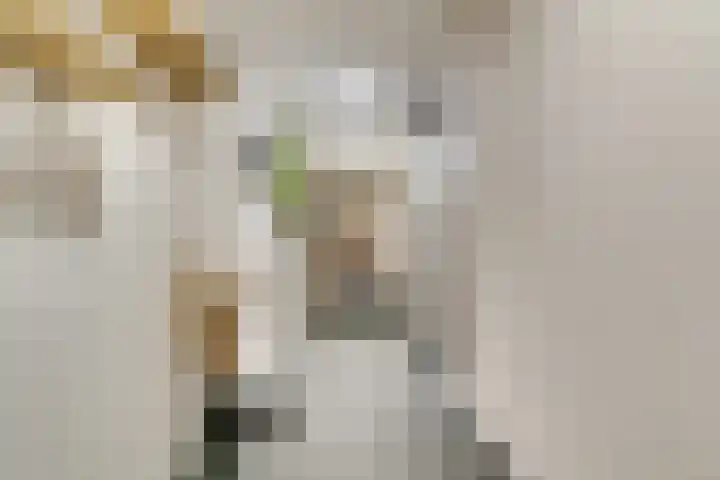 Perkinsbaan 1 17 Nieuwegein thumbnail 40