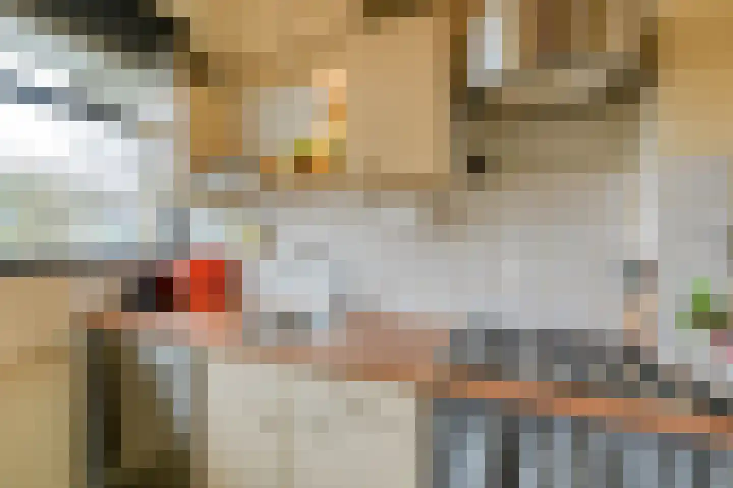 Perkstraat 19 Zoetermeer thumbnail 22