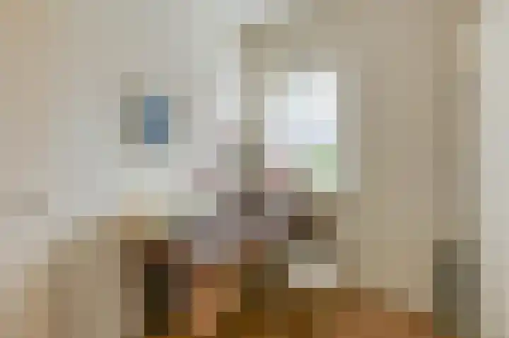 Perkstraat 19 Zoetermeer thumbnail 5