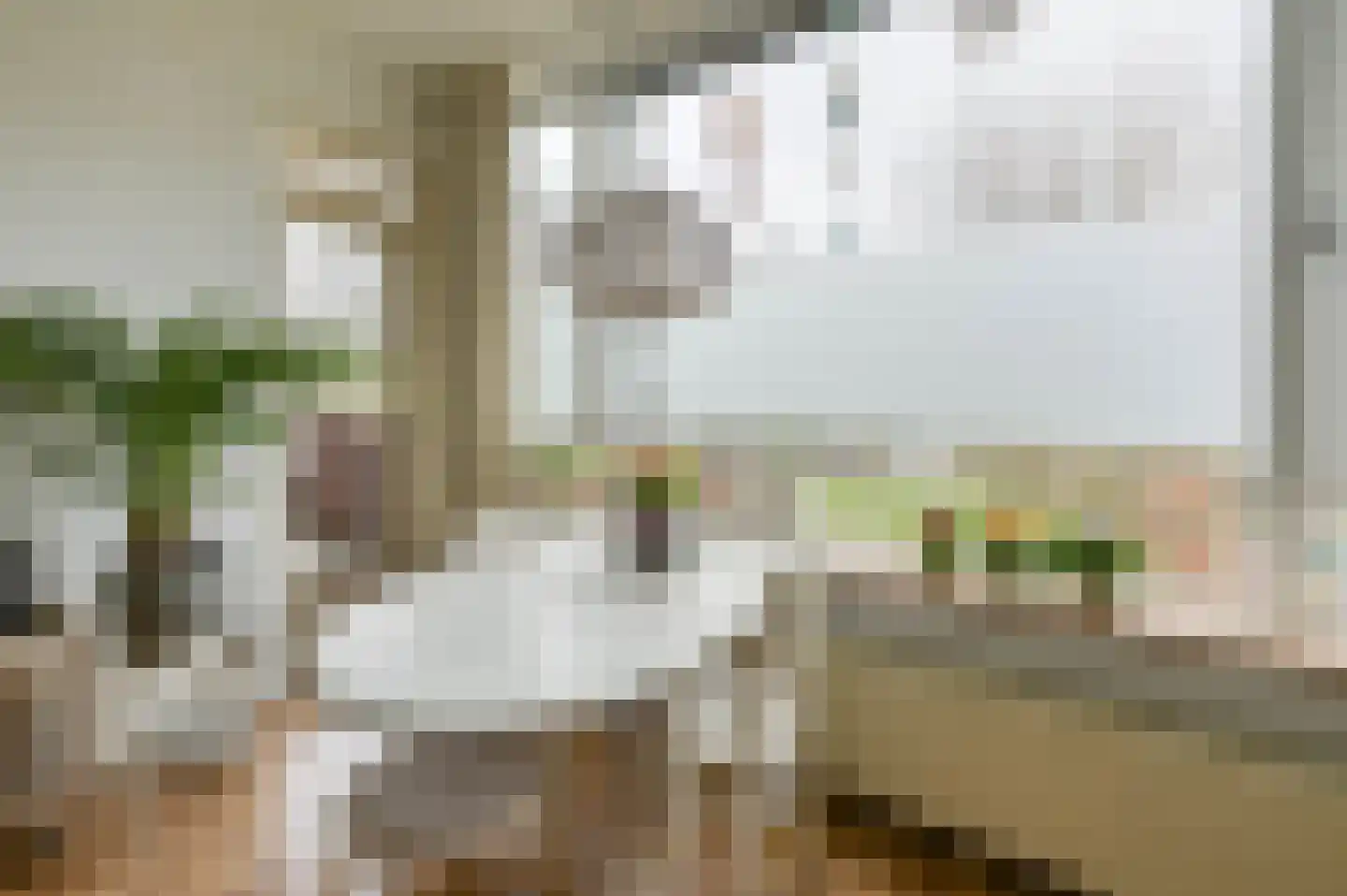 Perkstraat 19 Zoetermeer thumbnail 9