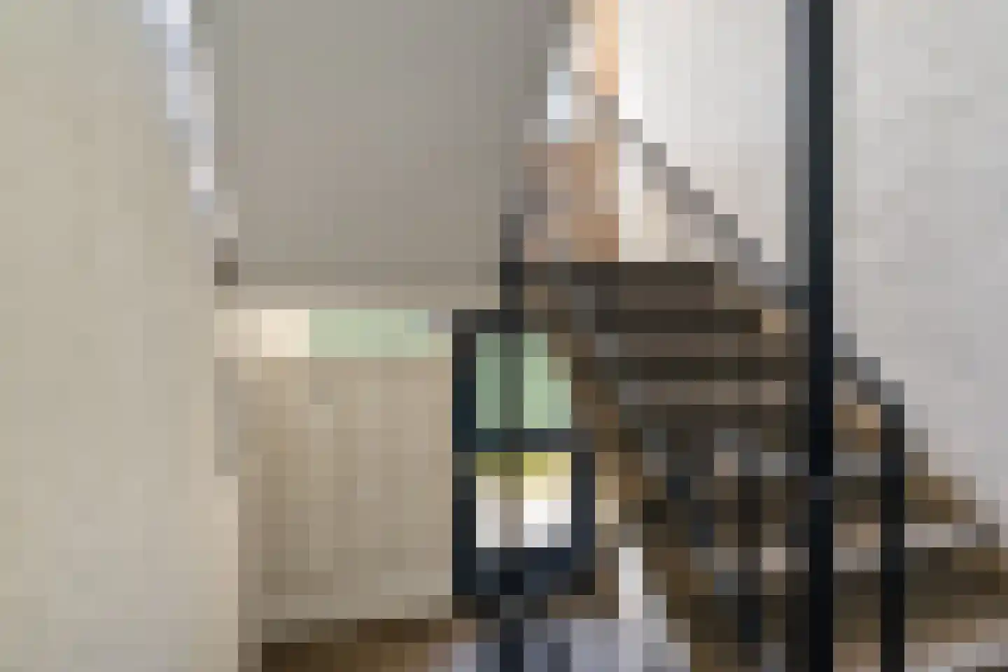 Perkstraat 25 Zoetermeer thumbnail 13