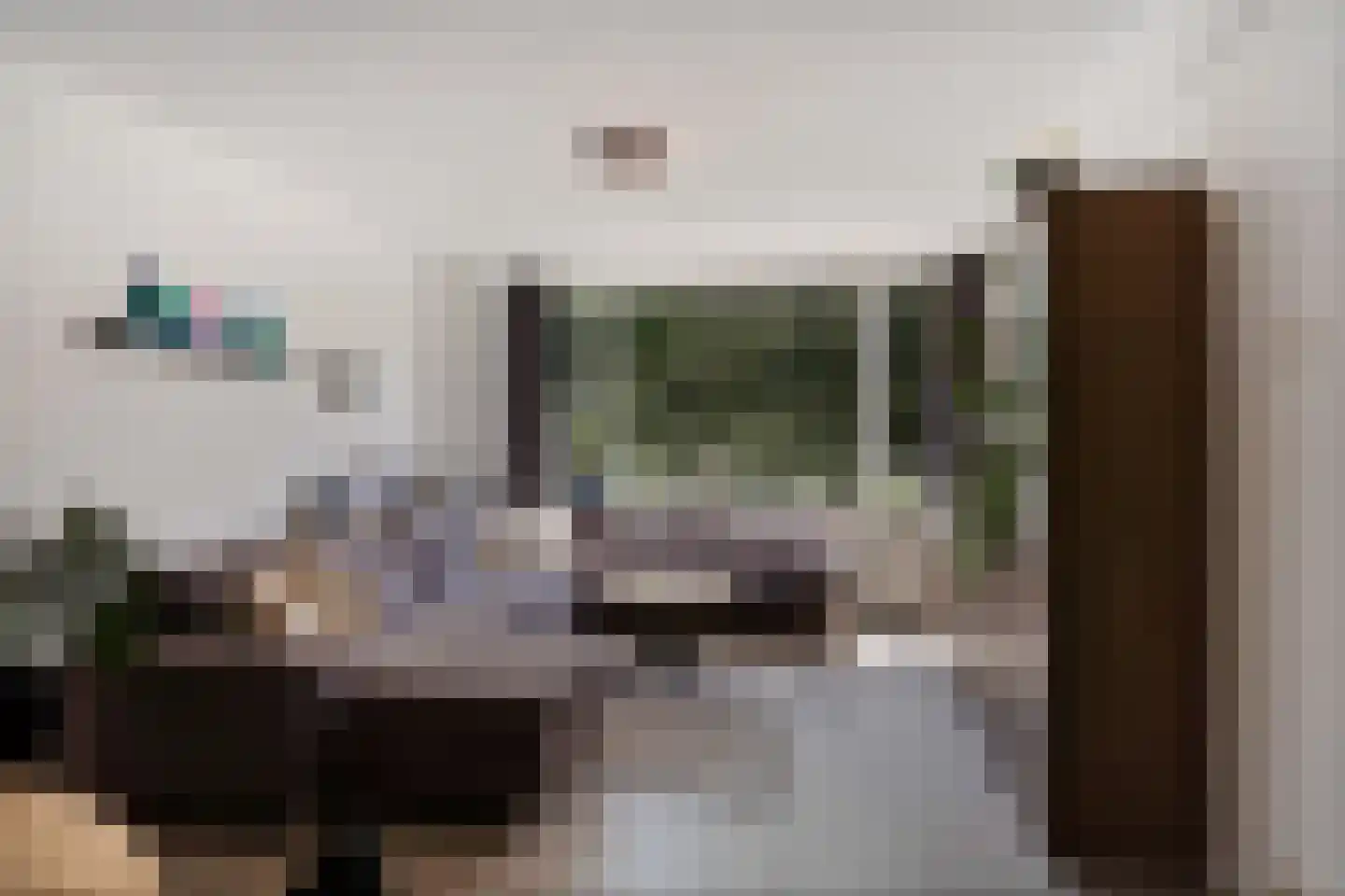 Perkstraat 25 Zoetermeer thumbnail 19