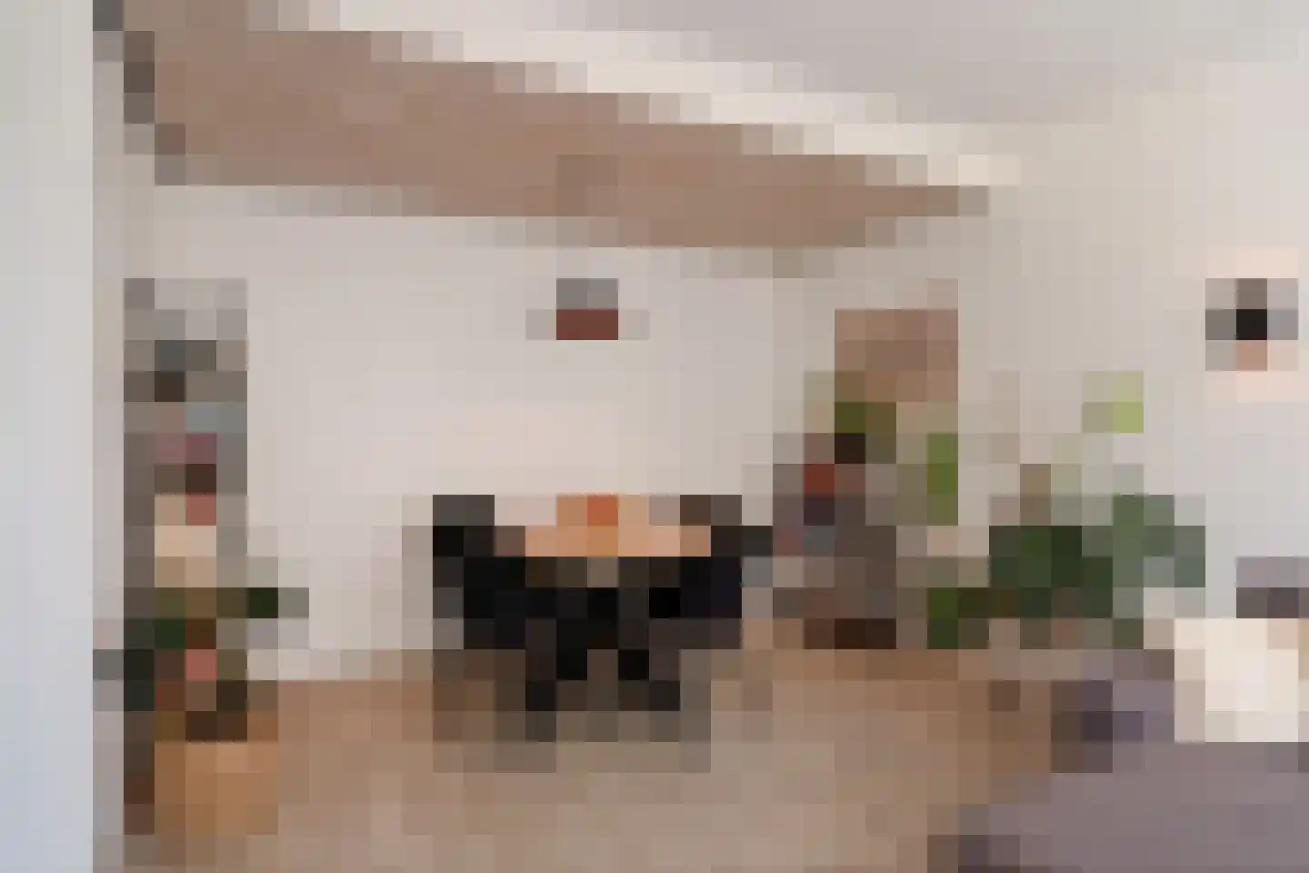 Perkstraat 25 Zoetermeer thumbnail 23