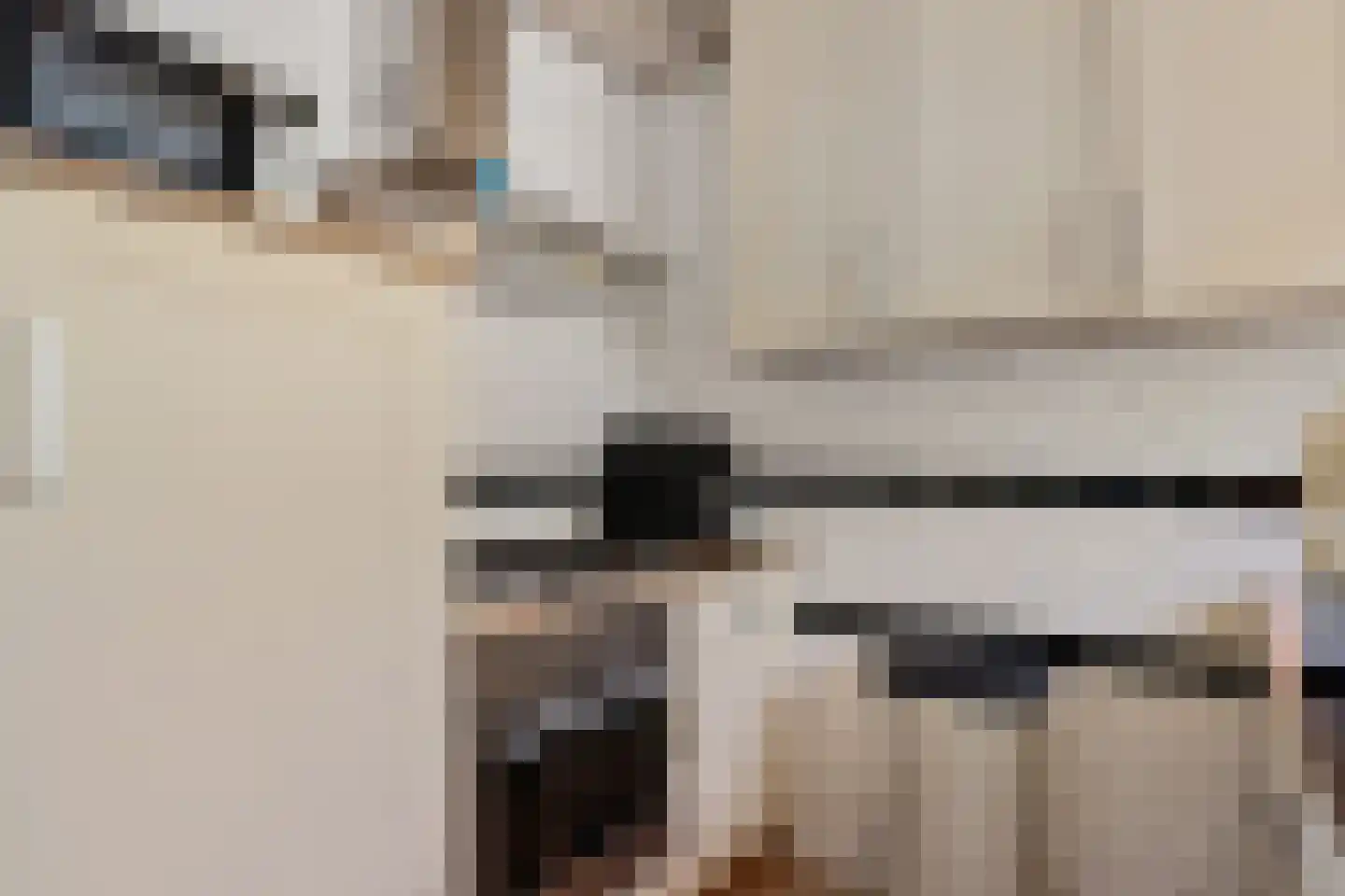 Perkstraat 25 Zoetermeer thumbnail 28