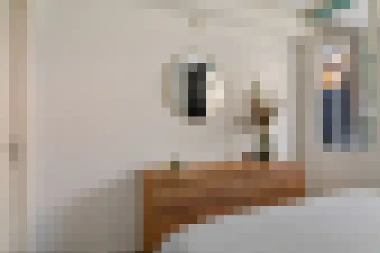 Perkstraat 25 Zoetermeer thumbnail 33