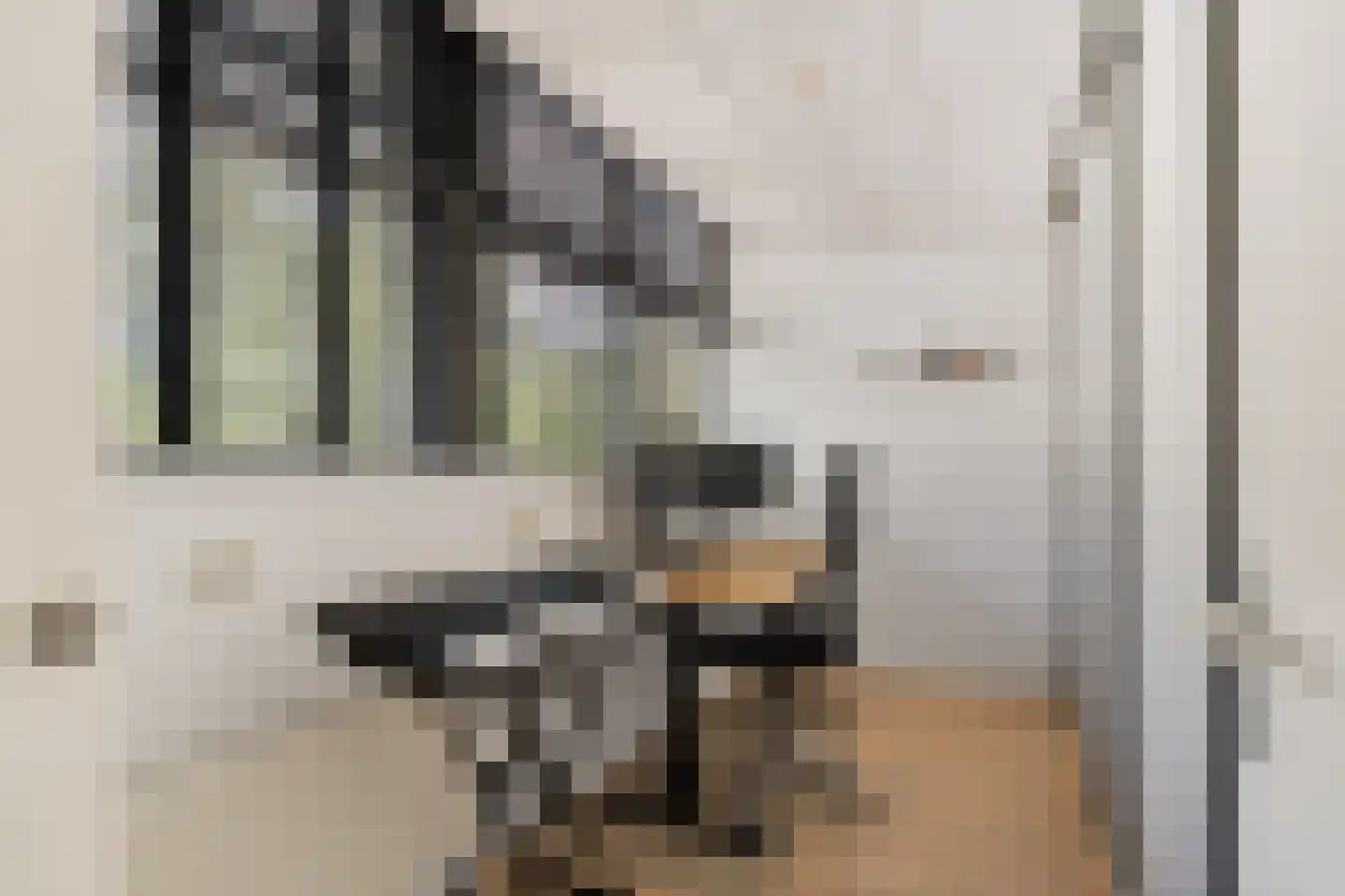 Perkstraat 25 Zoetermeer thumbnail 36