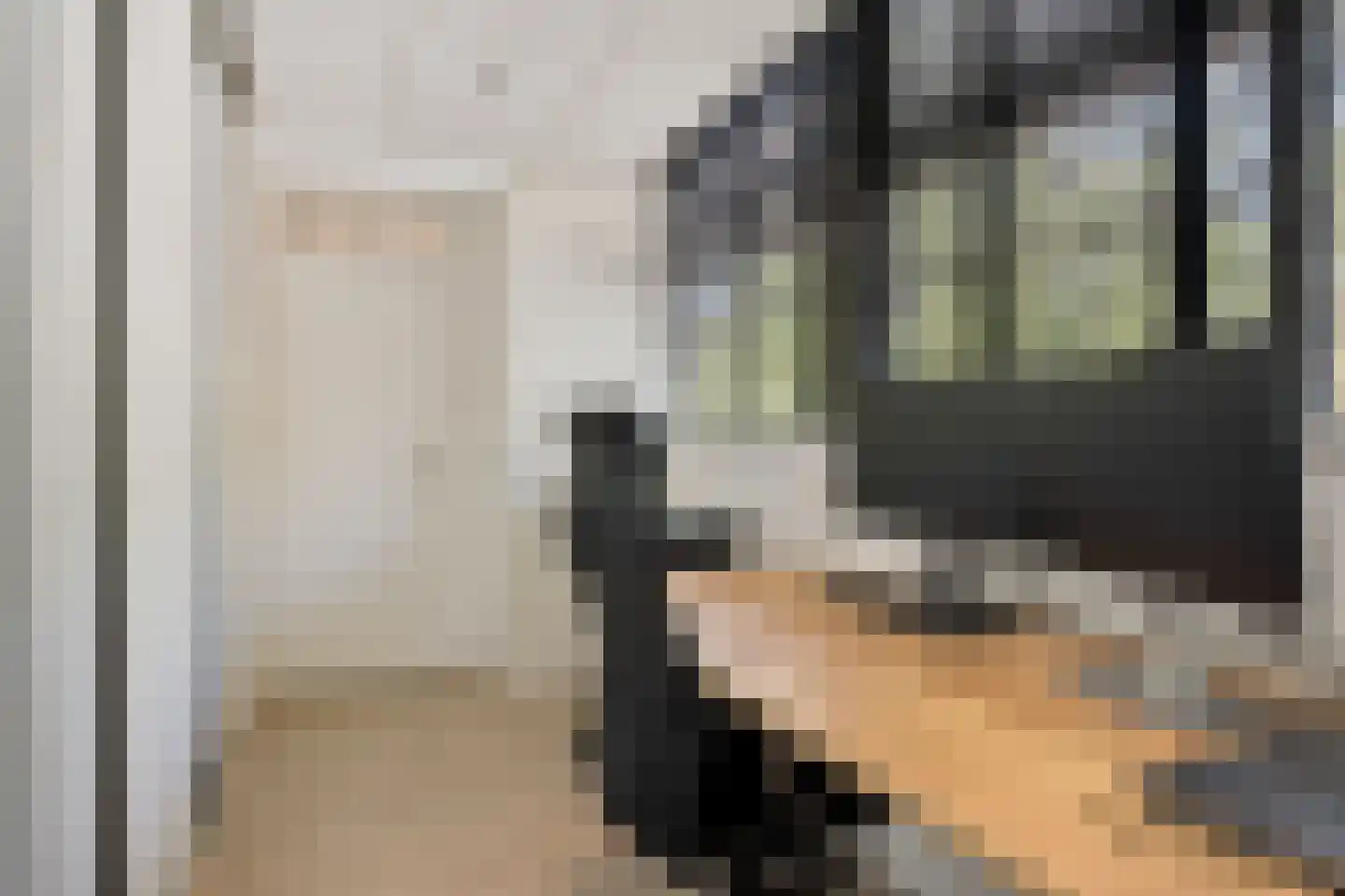 Perkstraat 25 Zoetermeer thumbnail 37