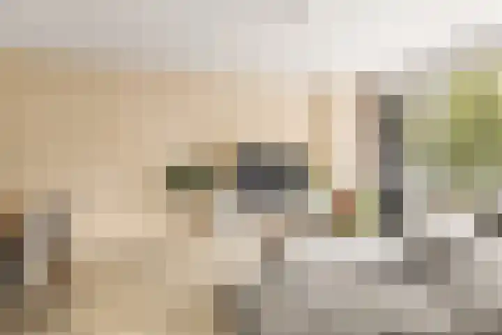 Perkstraat 32 Zoetermeer thumbnail 13