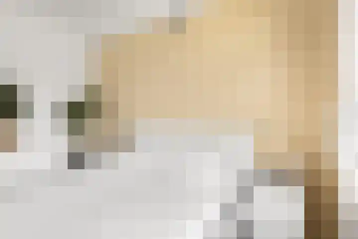 Perkstraat 32 Zoetermeer thumbnail 17