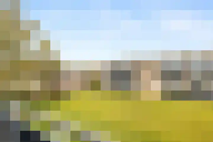 Perkstraat 32 Zoetermeer thumbnail 25