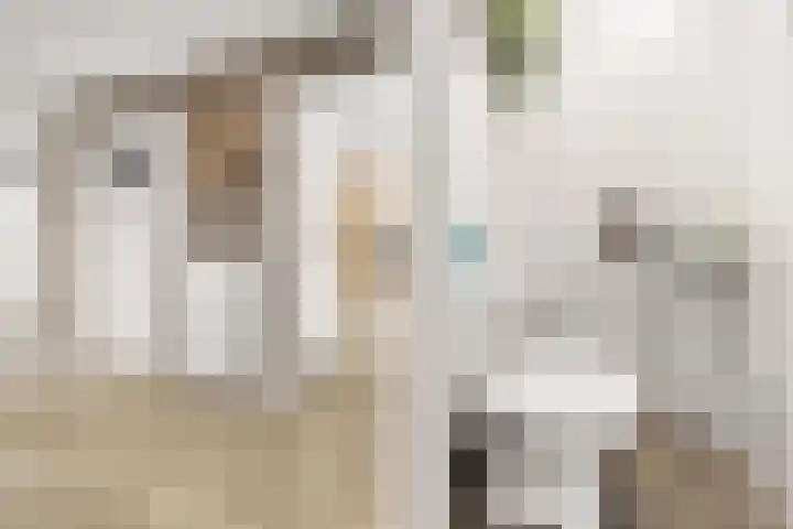 Perkstraat 32 Zoetermeer thumbnail 6