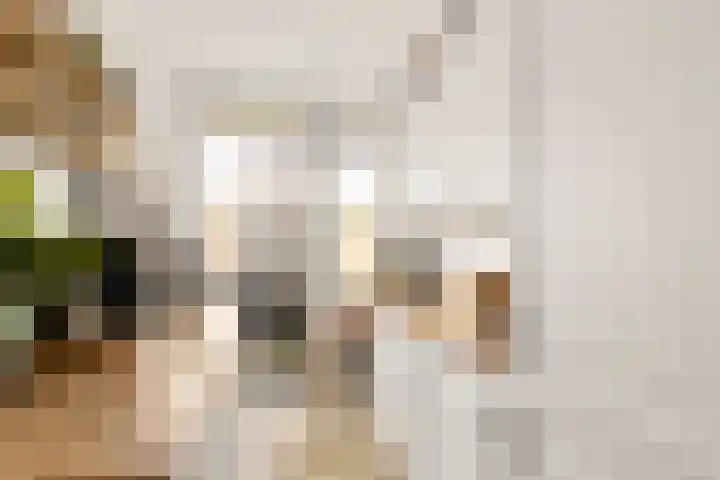 Perkstraat 32 Zoetermeer thumbnail 8