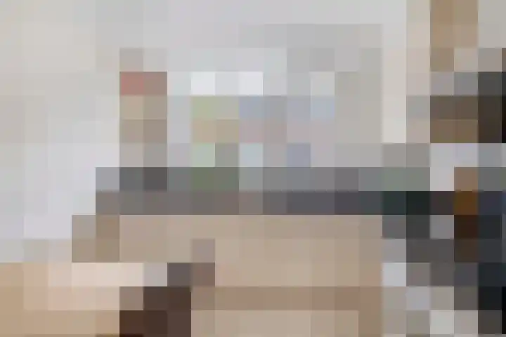 Perkstraat 42 Zevenhuizen thumbnail 12