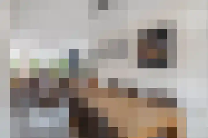 Perkstraat 42 Zevenhuizen thumbnail 13