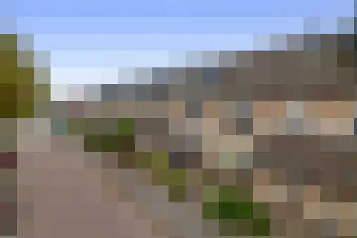 Perkstraat 42 Zevenhuizen thumbnail 4