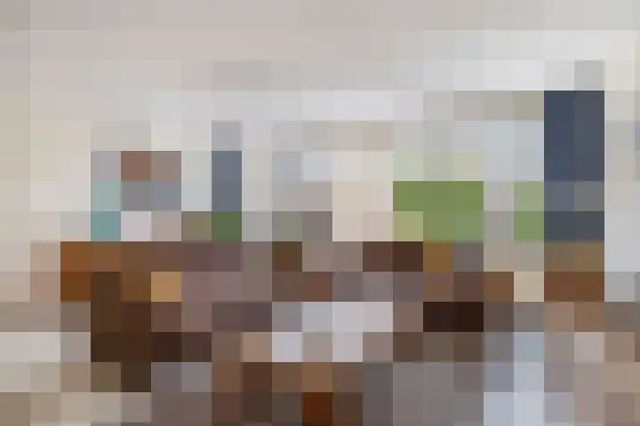 Perkstraat 42 Zevenhuizen thumbnail 7