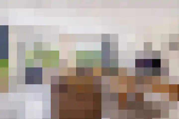 Perkstraat 42 Zevenhuizen thumbnail 8