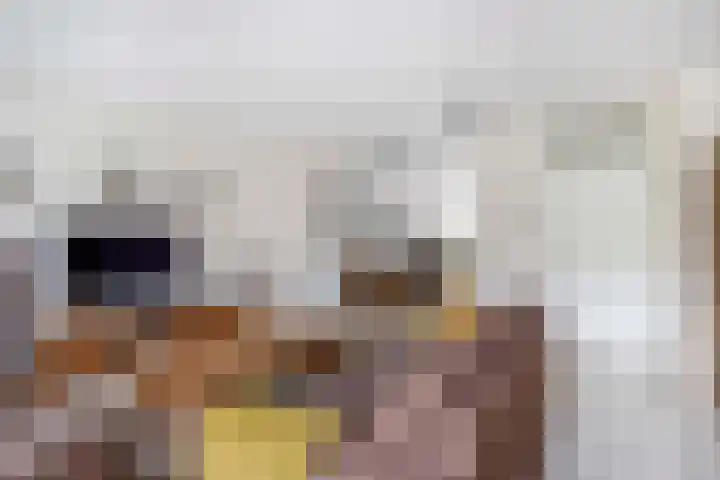 Perkstraat 42 Zevenhuizen thumbnail 9