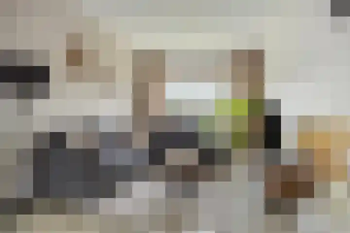 Perkstraat 46 in Zoetermeer