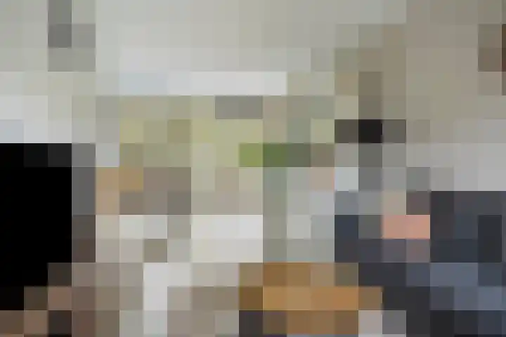 Perkstraat 46 Zoetermeer thumbnail 10