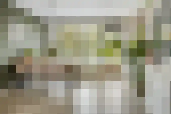 Perkstraat 46 Zoetermeer thumbnail 11