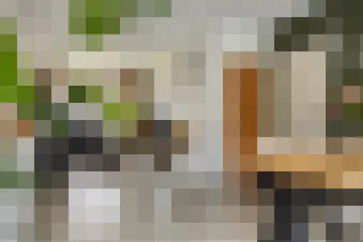 Perkstraat 46 Zoetermeer thumbnail 13