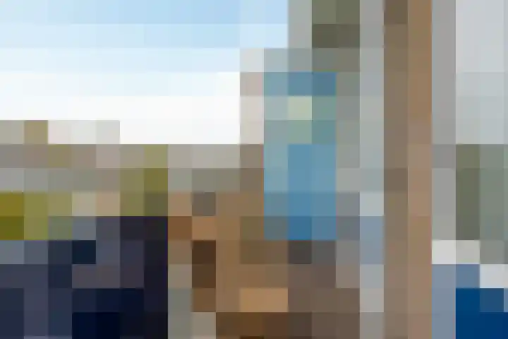 Perkstraat 46 Zoetermeer thumbnail 17