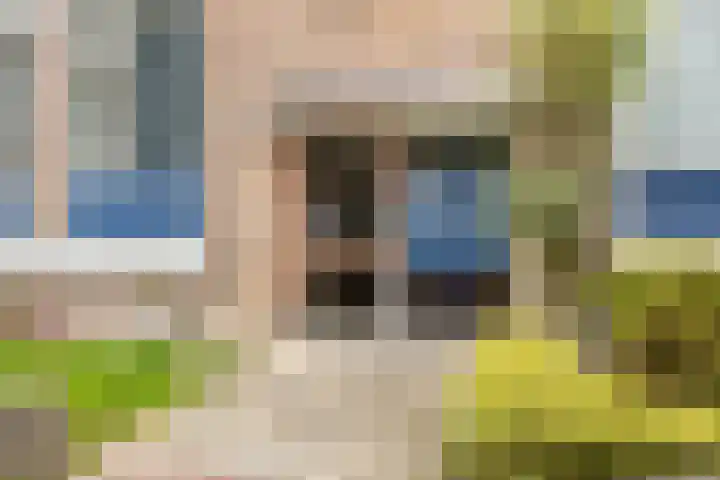 Perkstraat 46 Zoetermeer thumbnail 24