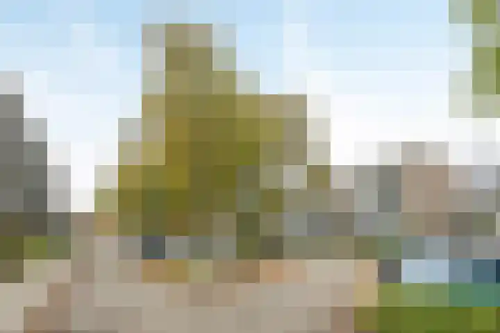 Perkstraat 46 Zoetermeer thumbnail 26