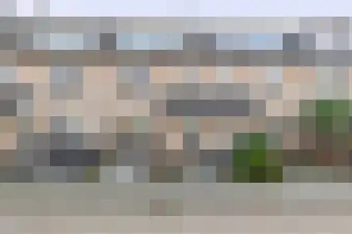 Perkstraat 48 in Zevenhuizen