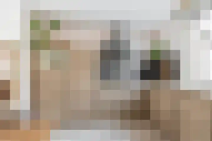 Perkstraat 48 Zevenhuizen thumbnail 12