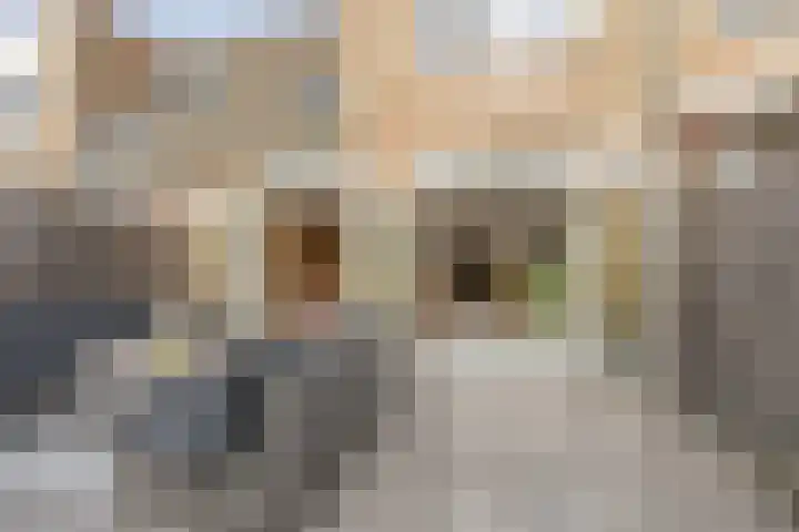 Perkstraat 48 Zevenhuizen thumbnail 28