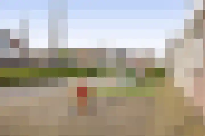 Perkstraat 48 Zevenhuizen thumbnail 33