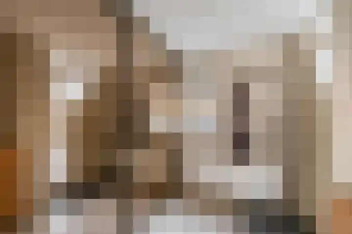 Perkstraat 48 Zevenhuizen thumbnail 5