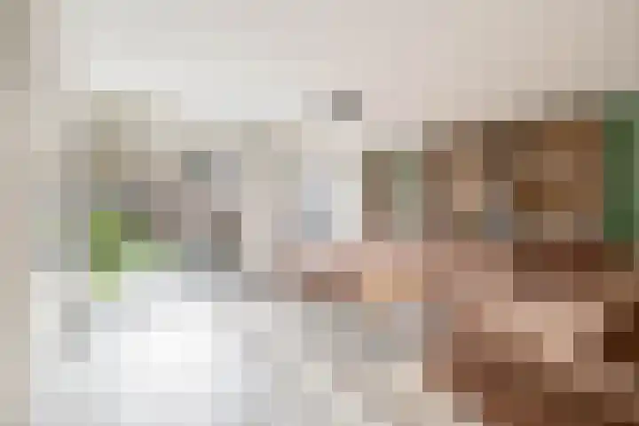 Perkstraat 48 Zevenhuizen thumbnail 7
