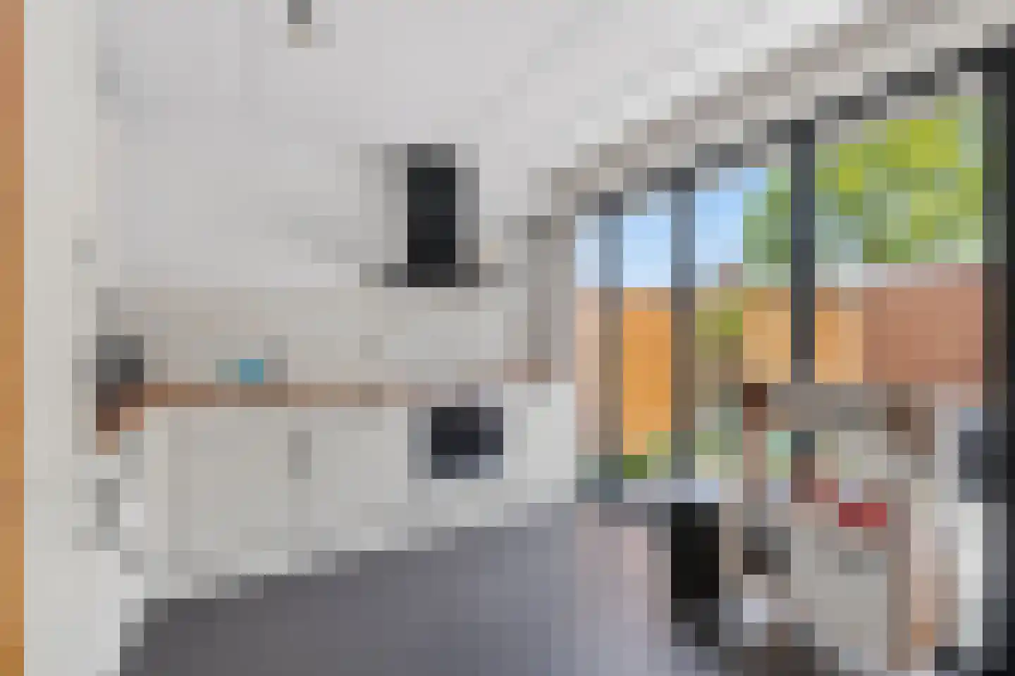 Perkstraat 67 Zevenhuizen thumbnail 13