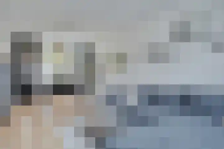 Perkstraat 9 Zwijndrecht thumbnail 13