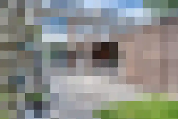 Perkstraat 9 Zwijndrecht thumbnail 46
