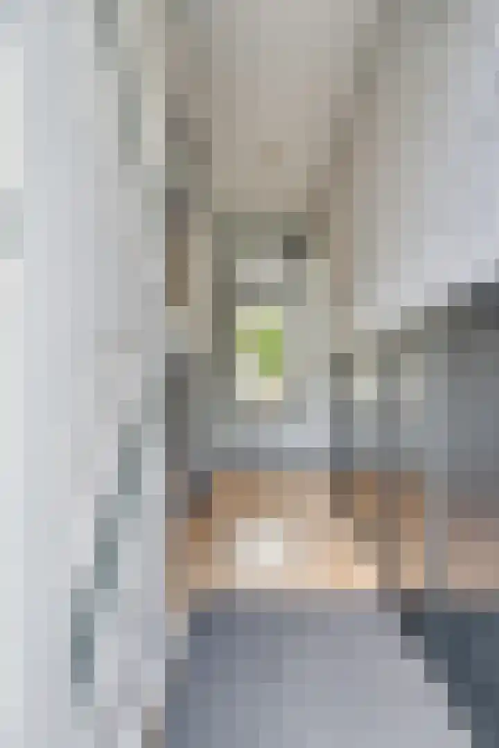 Perkstraat 9 Zwijndrecht thumbnail 9