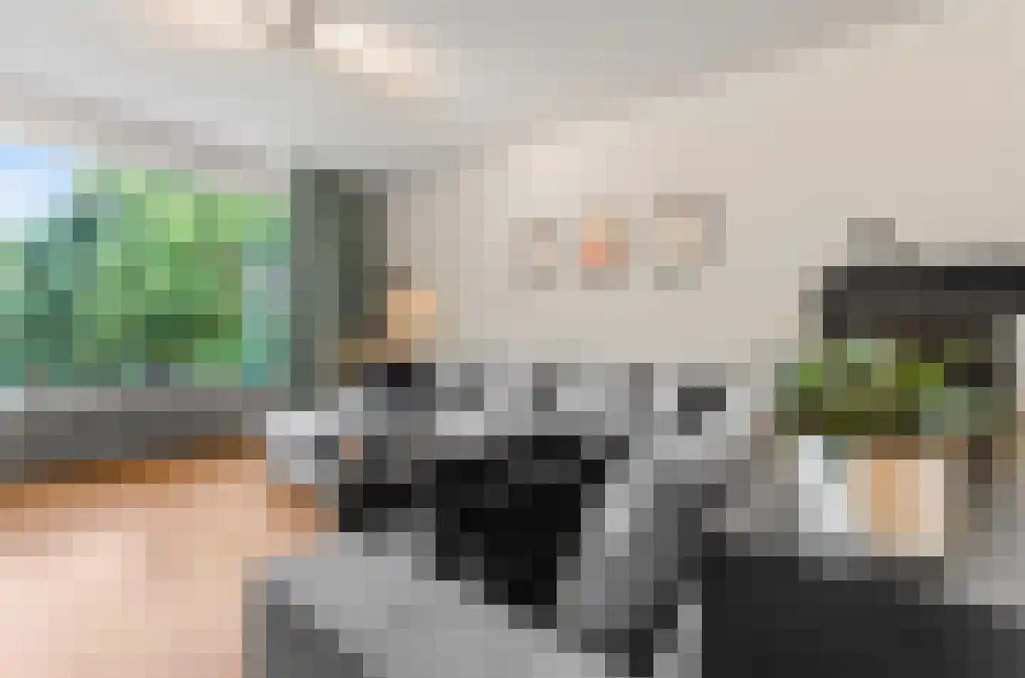 Pernambucodreef 10 Utrecht thumbnail 11