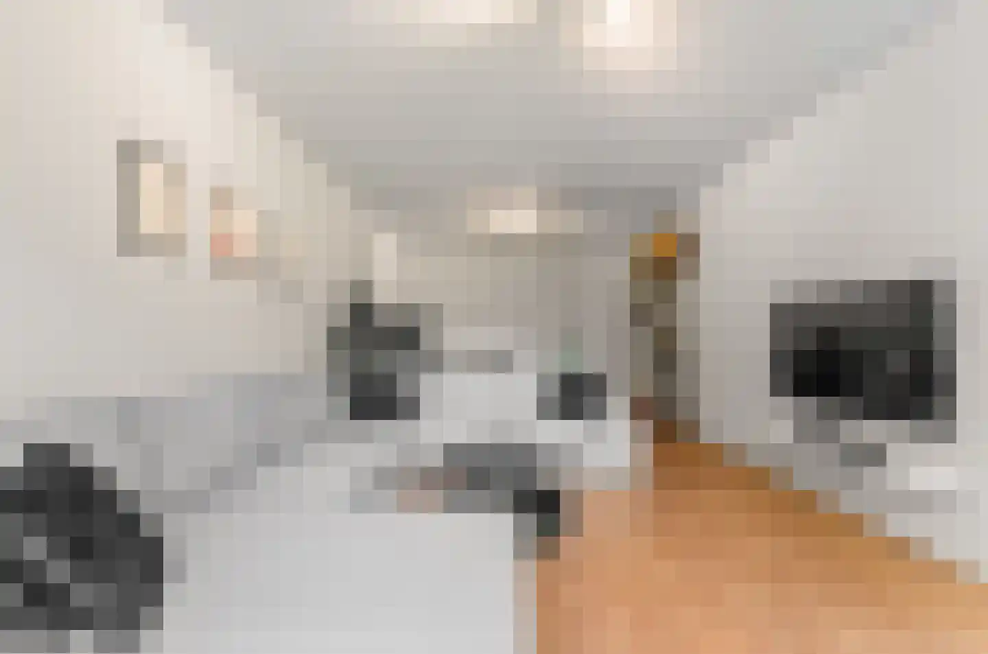 Pernambucodreef 10 Utrecht thumbnail 13
