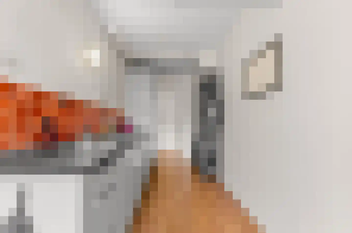 Pernambucodreef 10 Utrecht thumbnail 20