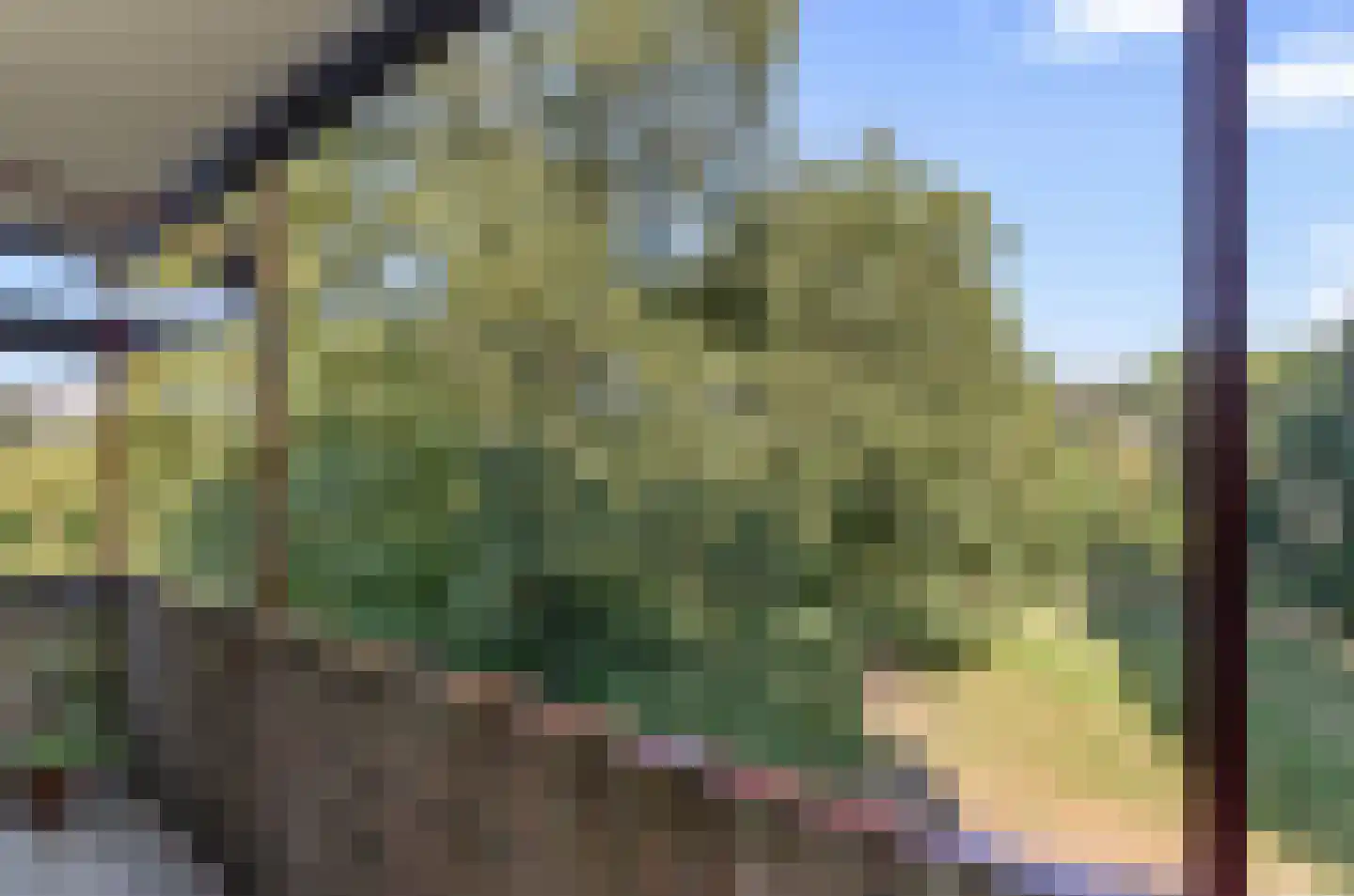Pernambucodreef 10 Utrecht thumbnail 24