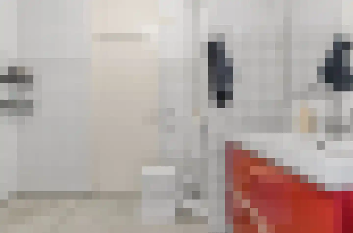 Pernambucodreef 10 Utrecht thumbnail 32