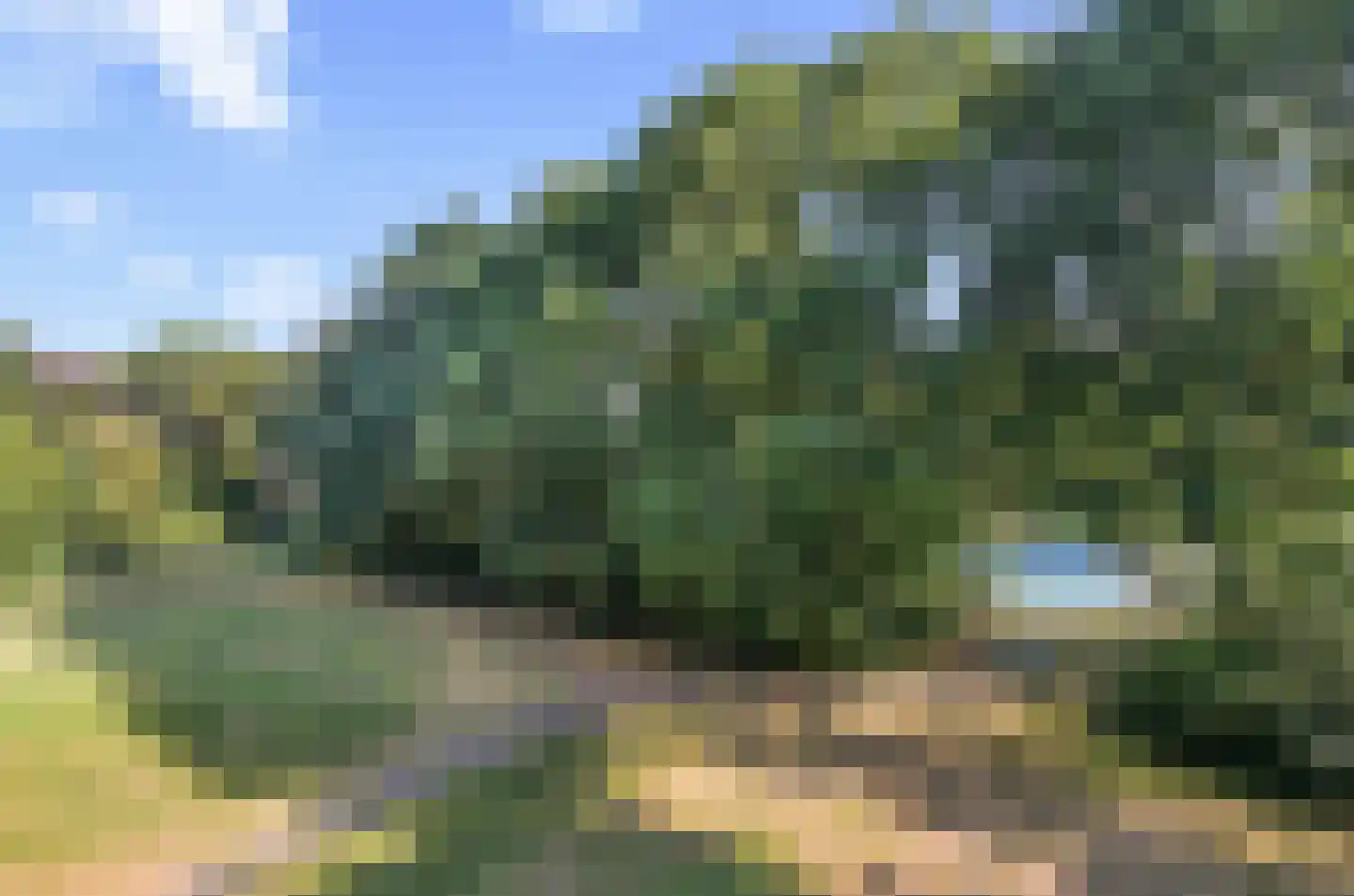 Pernambucodreef 10 Utrecht thumbnail 45