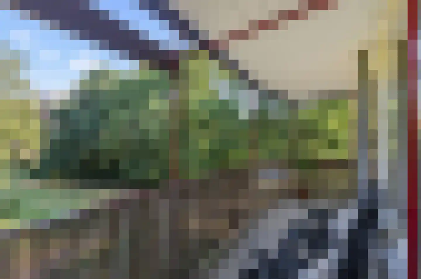 Pernambucodreef 10 Utrecht thumbnail 7